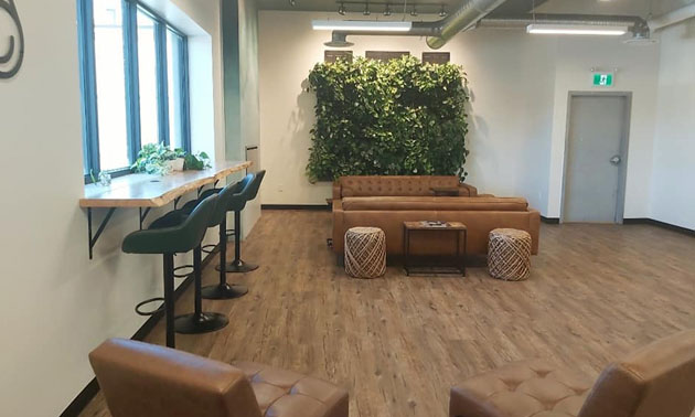 Co-working space with wood floors, row of tall chairs along window, plant in background. 