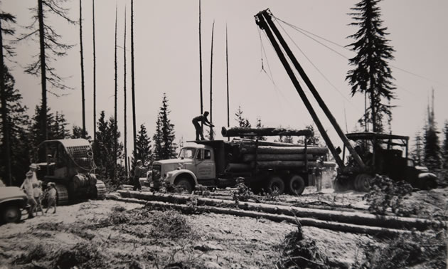 Old logging equipment working in the bush. 