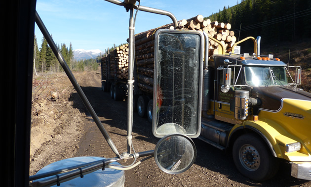 A loaded logging truck passing an empty one on a dirt road. 