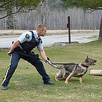 RCMP officers with their police service dogs. 