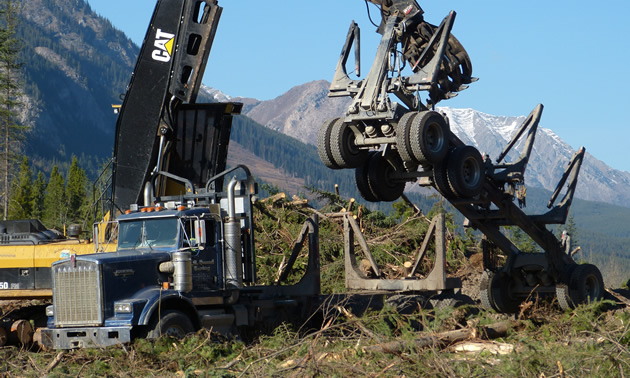 A loader lifting a trailer off a logging truck. 