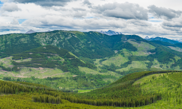 North Coal’s Michel Coal Project is in the works in the Elk Valley. 