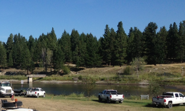 Idlewild Park has a newly restored dam and reservoir/pond with two fishing docks.