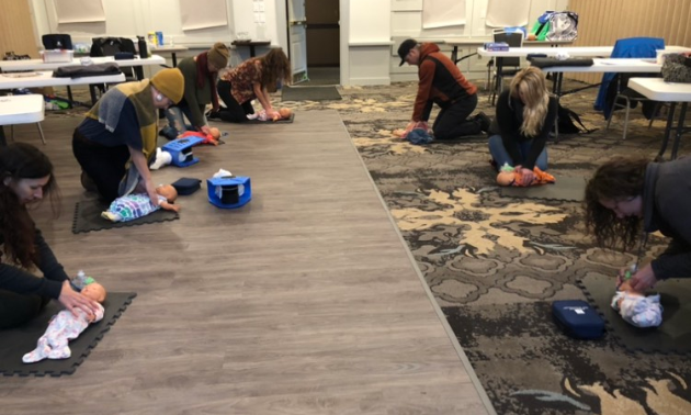 Two rows of people perform CPR on test subjects on the ground. 