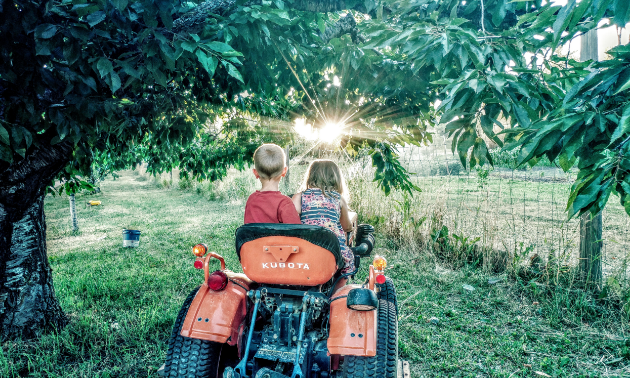 Two children sit on a small orange tractor with sunshine piercing through a tree.
