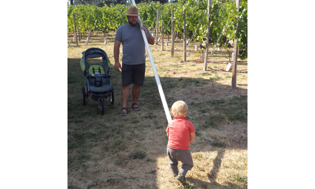 Remi and William Cardinal carry supplies across their vineyard.