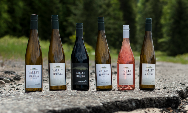 A row of wine bottles sits on a rock in the forest.