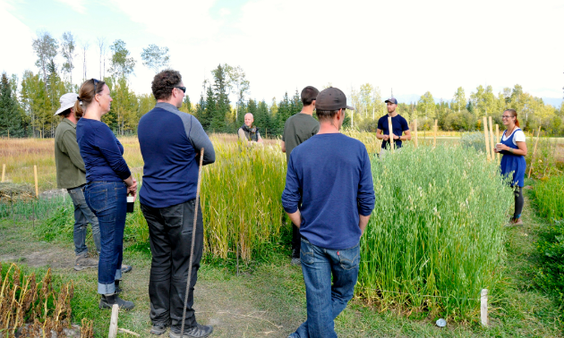 Kootenay Society for Sustainable Living in Meadowbrook hosted a farm tour and discussion on biointensive growing.