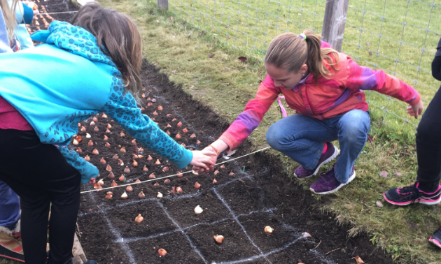 Children are planting some of the tulip bulbs for the EcoGarden's celebration of Canada's 150th anniversary.