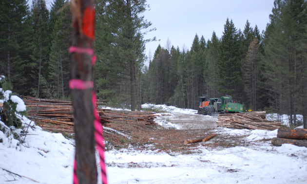 Idle machinery sits in an interface logged forest