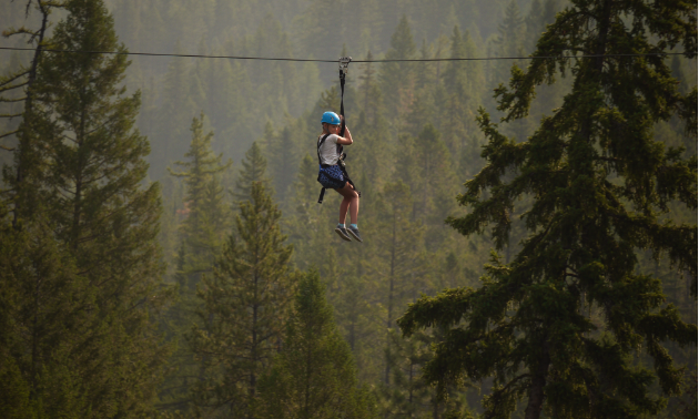 A child ziplines amidst a group of trees