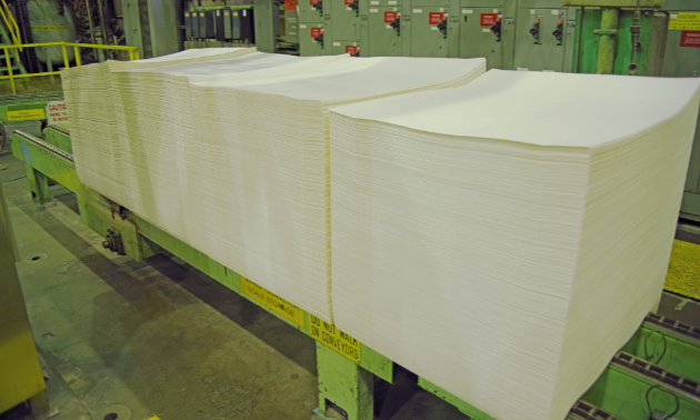 Bales of pulp consist of stacked pulp sheets. The bales undergo significant compression through the bale press before being wrapped in two sheets of kraft pulp and tied with galvanized wire. Each bale weighs approximately 245 kilograms.