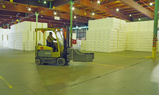 The final product, unitized bales of pulp, is shown stored in the warehouse. The pulp is loaded into rail cars and shipped directly to domestic customers or taken to port where they are loaded into cargo ships that transport them to overseas clients.