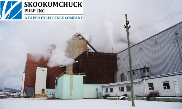 An exterior aspect of the process shows the pulp storage tower (centre), along with the maintenance, power and recovery, and pulping process offices (lower right). Excess thermal energy is released to the environment in the form of steam energy.