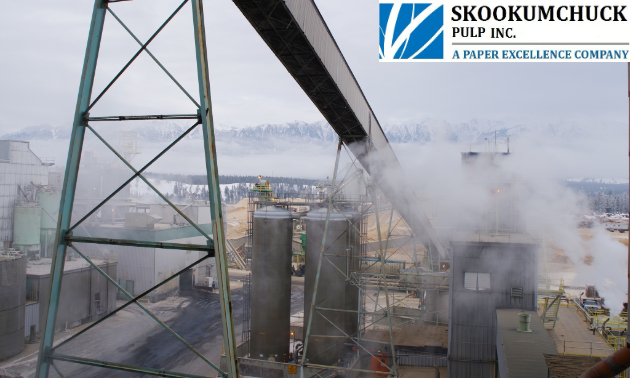 Taken on a cold winter day, this photo shows the wood chip piles in the background. In the centre, we see chlorine dioxide storage towers. Above these is the inclined “long belt,” which transports screened wood chips to the chip bin.