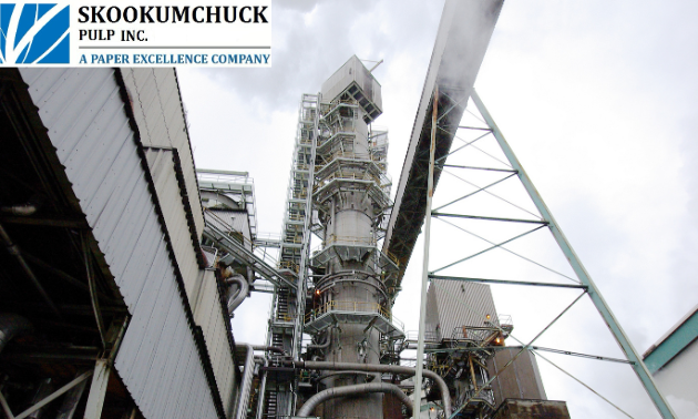 The tall vessel in the centre is the continuous Kamyr digester in which wood chips are surrounded by alkaline liquor and “cooked” at high temperature for a couple of hours. This cooking process digests (breaks down) the lignin (or glue) which holds the cellulose fibres together. Pulp is then blown out at the bottom of the digester.