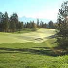 Photo of a golf course green