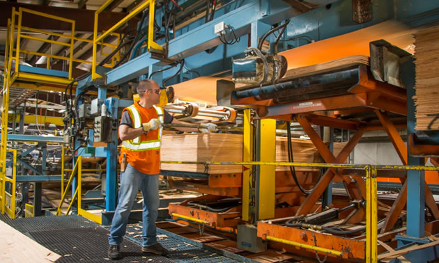 Picture of worker in wood factory. 