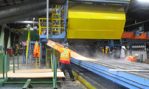 Worker at ATCO Wood Products, working in saw mill. 