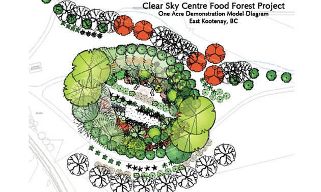 A concept drawing from birds eye view shows layers of trees and plants in a circular pattern.