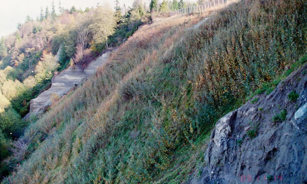 This steep terrain was successfully revegetated by Interior Reforestation.