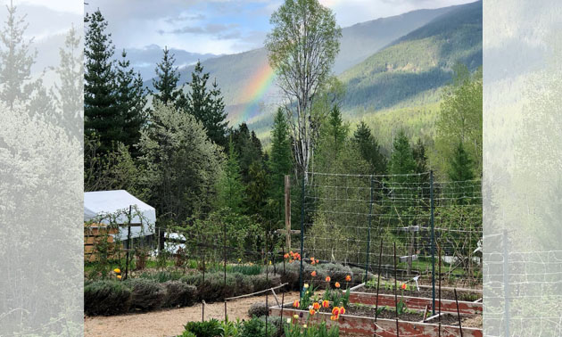 Rainbow over scenic country scene at Against the Wind Farm. 