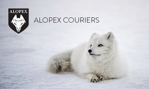 A white Arctic fox sits in the snow, with the Alopex logo in the top left corner of the photo.