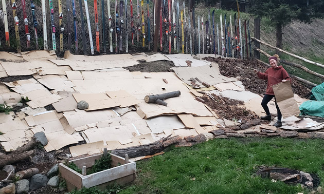 Hillside and garden bed in backyard covered with cardboard to keep weeds down. 