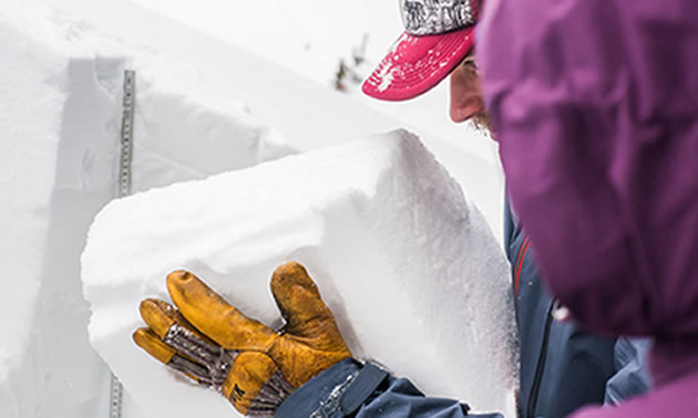 An Avalanche Canada public avalanche forecaster examines the snowpack