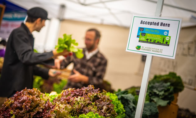 Community markets begin accepting Nutrition Coupons June 15.