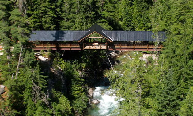 The Kuskanax Creek Footbridge, near the Village of Nakusp, B.C., is the perfect spot to take in the surrounding forest.