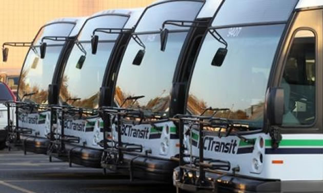 Line up of BC Transit buses. 