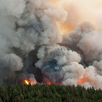 Picture of wildfire. 