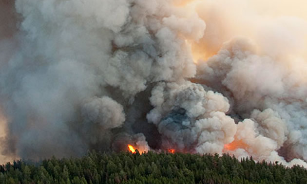 Picture of wildfire. 