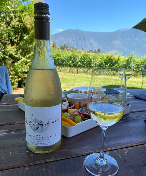 Bottle of Baillie-Grohman wine on table and wine glasses, distant view of vineyard on sunny day in background. 