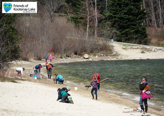 The volunteers of FOKLSS cleaning up the beach of Kootenay Lake