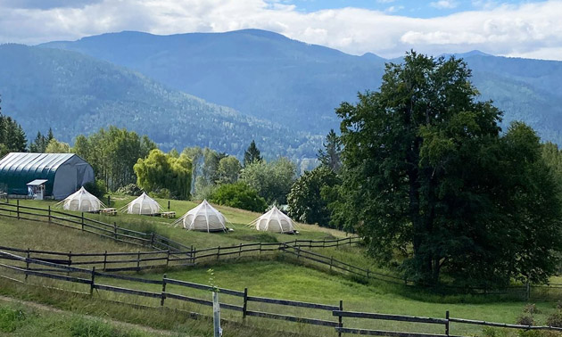 Views of the glamping tents with scenic mountain views. 