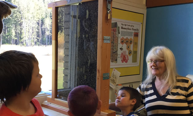 Students studying an observation bee hive in class. 