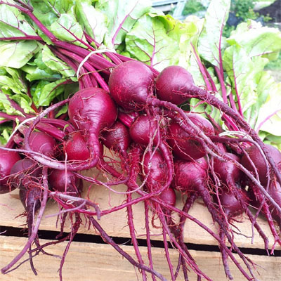 Fresh beets on display at market.