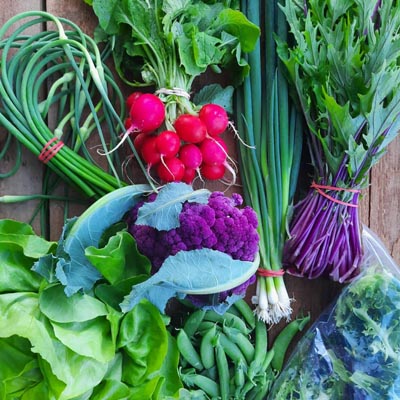 A colourful array of fresh vegetables. 