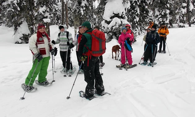 A group of people on snowshoes stand in a snowy landscape.