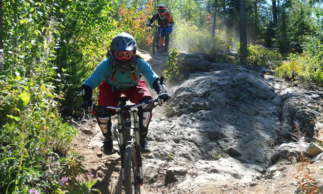 A couple of mountain bikers ride over a rock on the trail.