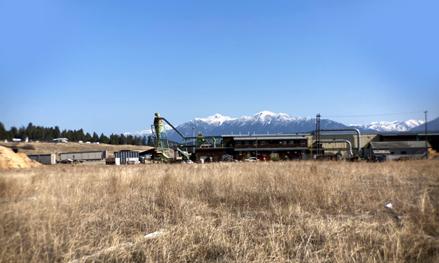 Industrial land and buildings, grassy field in foreground. 