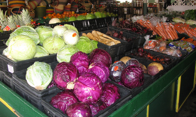 Market bins of bright cabbages