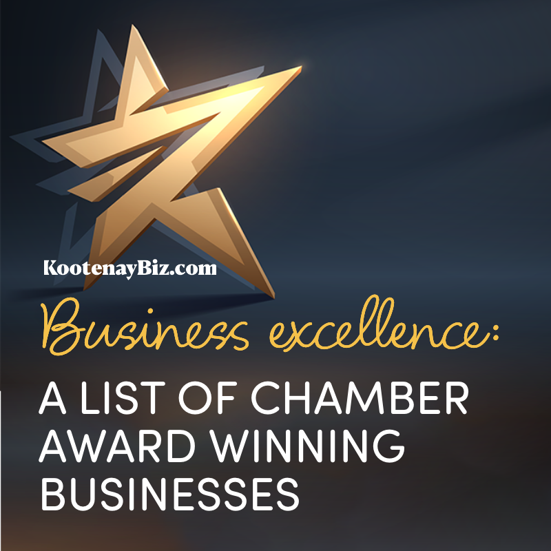 Business Excellence: A list of award-winning chambers text, with stylized golden star on dark background. 