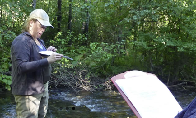 Scientist conducting water quality study in woodland stream. 