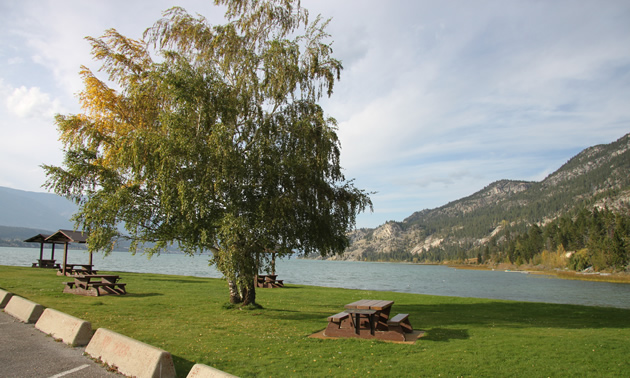 Mountains and lake in the background, with lawn, picnic tables and large shade tree in foreground