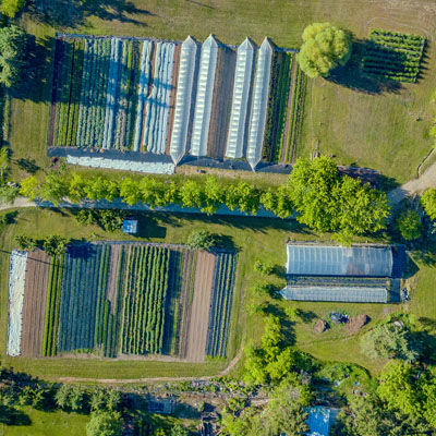 Aerial photo of Cartwheel Farm. 