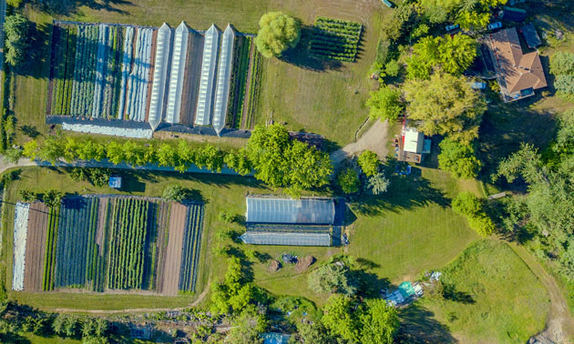 Aerial photo of Cartwheel Farm. 