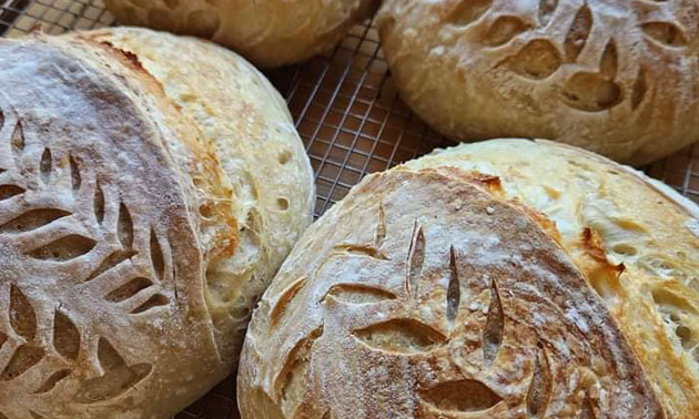 Close-up of artisan bread. 